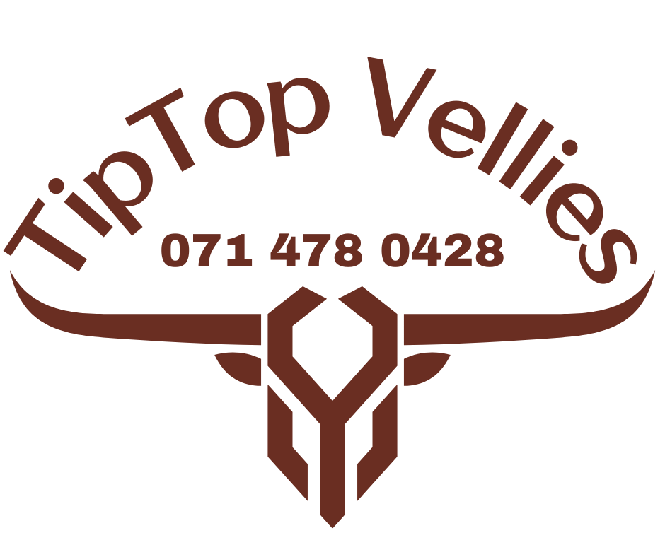 New Jan'26 Transparent